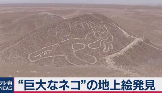 丘に横たわる巨大なネコ　ナスカで新たな地上絵見つかる（2020年10月20日）