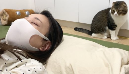 病気のママを看病する猫