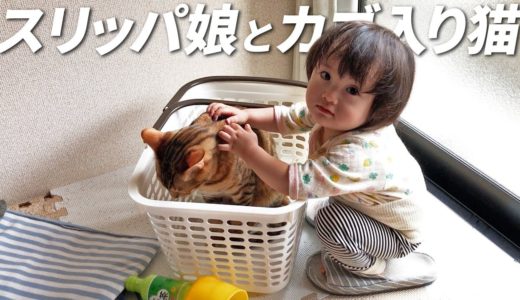 カゴに入りたい猫とスリッパを履きたい1歳娘　／　A girl in slippers and a cat in a basket.