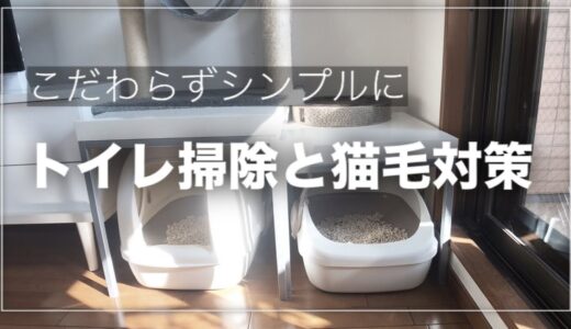 シンプルなネコ掃除〜トイレ・猫毛対策
