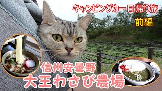 #1 猫とキャンピングカー【ねこ旅】信州安曇野日帰り旅