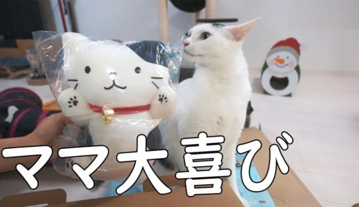 ママ念願のFukuFukuNyanko福袋開封動画【うちの猫も各所に隠れてます】