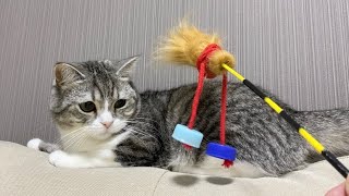 猫に手作りおもちゃをあげた反応がこちらです…