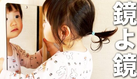 鏡よ鏡！kawaiiに目覚めた1歳娘。猫に鏡は渡さない！