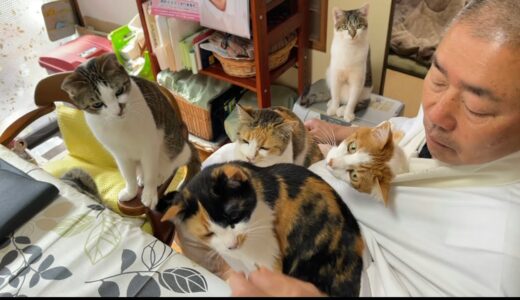 那須の長楽寺です。おっちょこちょいのおかみと優しい住職と猫盛りだくさんです。