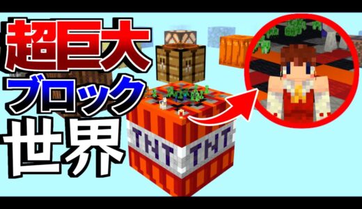 【Minecraft】全てのブロックがデカすぎる世界でサバイバル!!【ゆっくり実況】