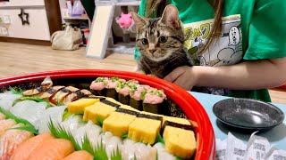 お寿司の出前が届いたときの猫の反応がこちらですw
