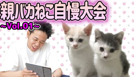 【ふうらい企画】池崎親バカ猫自慢大会〜Vol.01〜