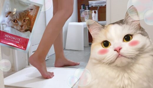 猫にモテる入浴剤で猫を誘惑しようとした結果…【おしゃべりする猫】