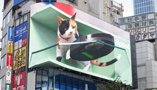 新宿東口の3D巨大猫、ルンバとコラボレーション！　『#ネコにルンバを』公開開始