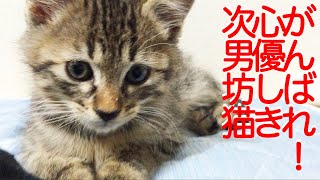 がんばれ！心優しき次男坊猫 My second cat is so kind