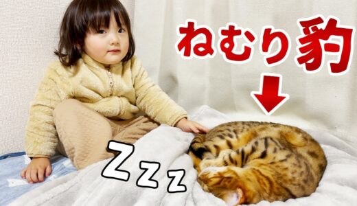 豹のような眠り猫に絵本を読んであげたいおしゃべり2歳娘
