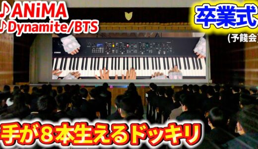 【ピアノドッキリ】「猫の手も借りたい」とぼやくピアニストが演奏中に猫の手を出してきたら学生はどういう反応をするのか？ byよみぃ【♪ANiMA,Dynamite(BTS),etc…】