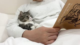 寝る前に読書してると隣に来る甘えんぼ猫がかわいすぎた…笑