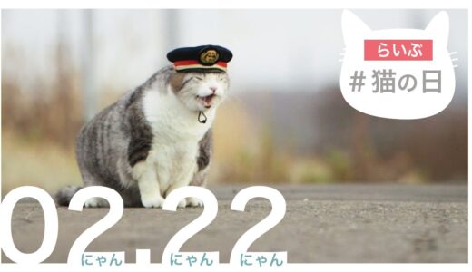 【LIVE】 猫のニュース 2月22日 #猫の日 〈FNNプライムオンライン〉