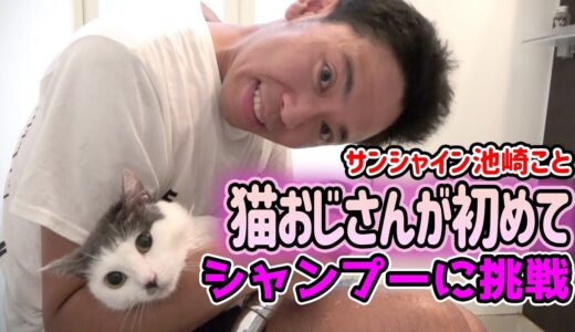 【保護猫ライフ】猫おじさんが初めてのシャンプーに挑戦！