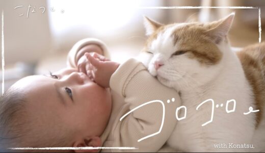 寝返りが止まらない赤ちゃんと猫の日常