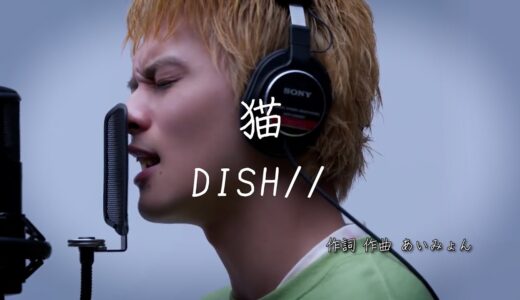 猫 - DISH// ｜ 歌詞あり