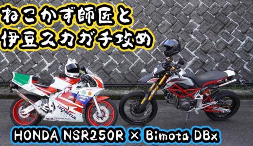 【コラボ再び！】ねこかず師匠と伊豆スカイラインをガチ攻め！【bimota DBx】【Honda NSR250R】【DZR】
