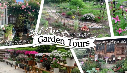 【春のお庭紹介Garden Tours】ねこひげガーデンさんとrui バラの庭作りさんのお庭に訪問してきました♪