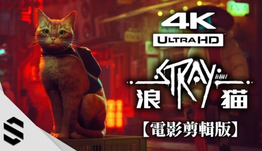 【浪貓：Stray】4K電影剪輯版 - 🐈可愛貓咪冒險之旅💕 - 無介面、主支線全解、電影式運鏡 - 迷失 - Semenix出品