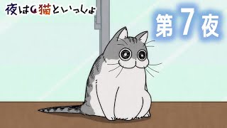 アニメ『夜は猫といっしょ』 第7夜 「ネコの写真うまく撮れない」