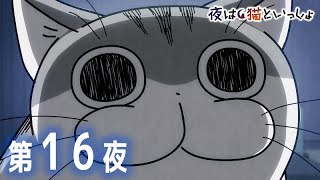 アニメ『夜は猫といっしょ』第16夜「感動シーンに寄ってくるネコ」