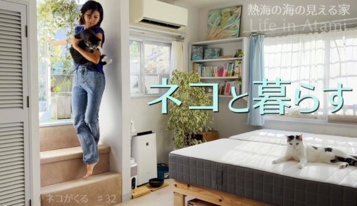 #32【vlog・DIY】猫と暮らす｜部屋に合わせてベッドを作り直す｜Life in Atami