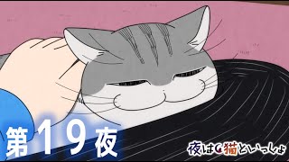 アニメ『夜は猫といっしょ』第19夜「ネコが足に乗りに来た」