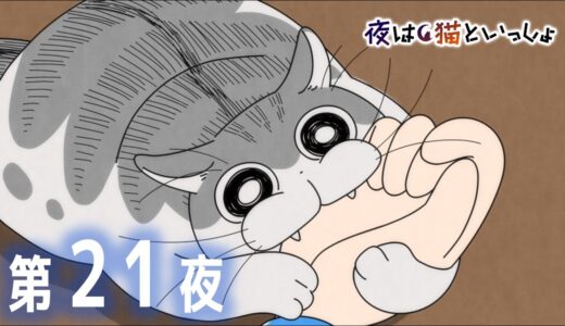 アニメ『夜は猫といっしょ』第21夜「ネコが噛んできた」