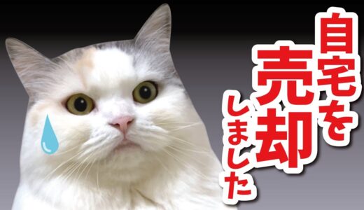 【ご報告】自宅を売却しました【関西弁でしゃべる猫】