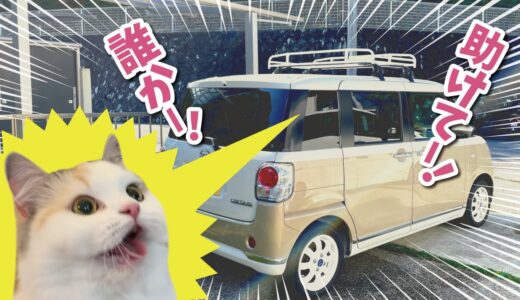車内に猫閉じ込め事件が発生しました【関西弁でしゃべる猫】
