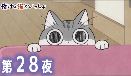 アニメ『夜は猫といっしょ』第28夜「となりに座るネコ」