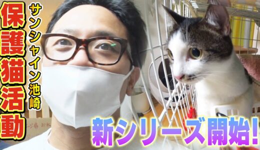 【保護猫活動】サンシャイン池崎！新シリーズが遂に始動！【のりしお】