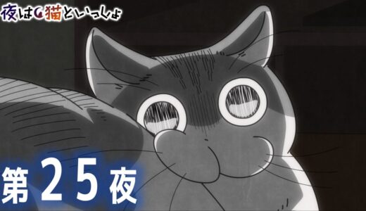 アニメ『夜は猫といっしょ』第25夜「ネコに振り向いてほしい」