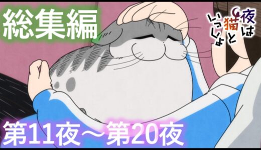 アニメ『夜は猫といっしょ』×10！【第11夜～第20夜まとめ】