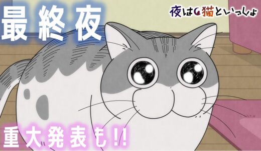 アニメ『夜は猫といっしょ』第30夜「何かを見つめるネコ」