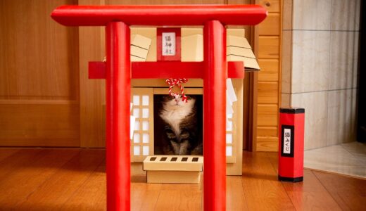 猫神社の猫神様 。-Cats Deity of Cats Shrine.-