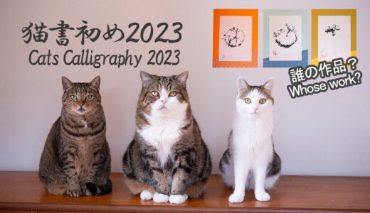 書初めとねこ2023。 -Cats Calligraphy 2023.-