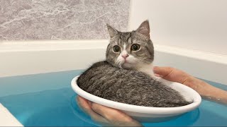 寒がりな猫と一緒にお風呂に入ったら気持ち良すぎてこうなっちゃいました笑