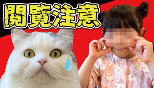 【閲覧注意】5歳の娘がつくしに乗り移った結果とんでもない映像に…【関西弁でしゃべる猫】