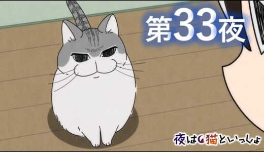 アニメ『夜は猫といっしょ』第33夜「寝てたネコ」