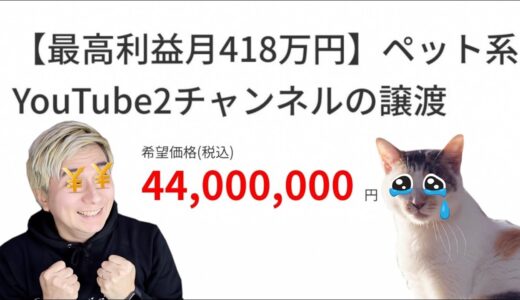 猫をセットにしてYouTubeチャンネルを4400万円で売却しようとしたクソ過ぎるYouTuber。。。