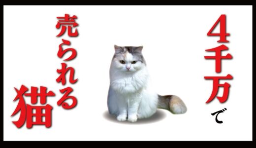 【炎上】猫チャンネルの売却について【関西弁でしゃべる猫】