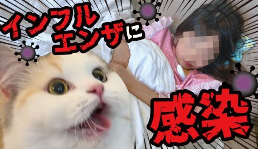 引っ越しで大変な時期に5歳の娘がインフルエンザにかかってしまいました…【関西弁でしゃべる猫】