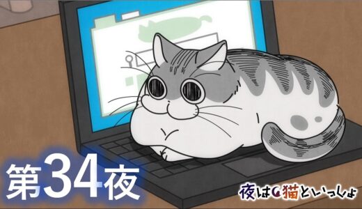 アニメ『夜は猫といっしょ』第34夜「キーボードの上のネコ」