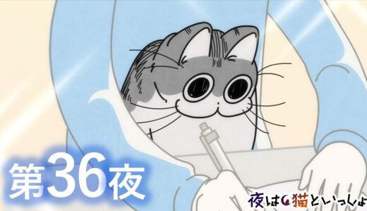 アニメ『夜は猫といっしょ』第36夜「バッグに入るネコ」