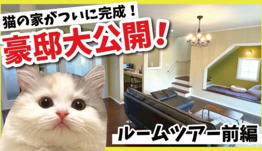 猫のために作ったとんでもない豪邸のルームツアー【前編】【関西弁でしゃべる猫】