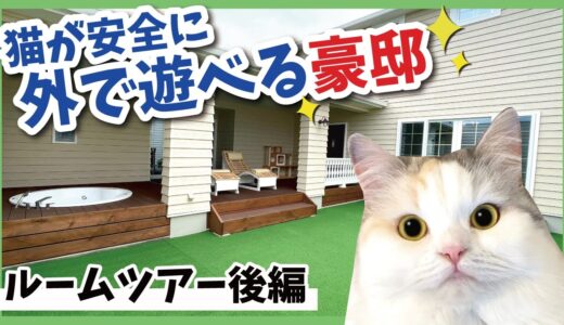 猫を外で遊ばせてあげたくて作った猫の豪邸がこちら【後編】【関西弁でしゃべる猫】