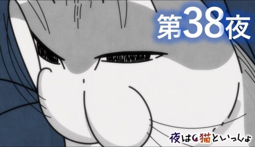 アニメ『夜は猫といっしょ』第38夜「いつの間にかとなりで寝てたネコ」